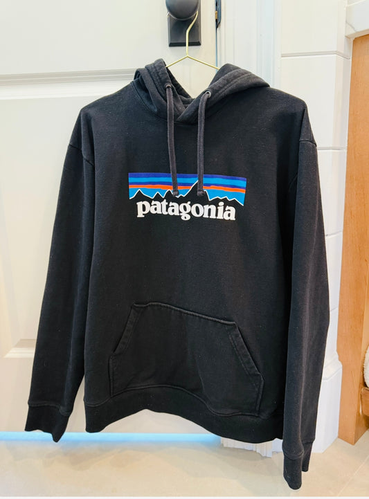 Patagonia Hoodie-L